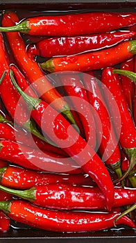 Close up of red hot chili peppers texture background, copy space