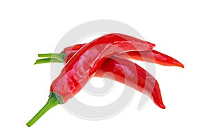 Close up red hot chili spur pepper