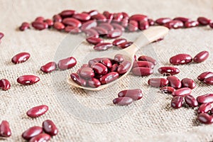 Close-up red kidney bean in wood spoo on gunny