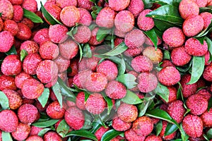 The close up of red Lichi fruit. photo