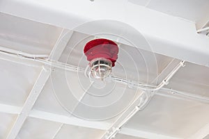 Close-up of red light bulbs on the ship`s ceiling