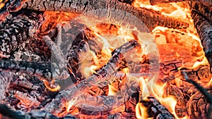 Close up red live coals and flame in the bonfire, Siberia.