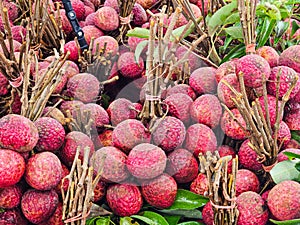 Close-up of red lychee at the market in Thailand