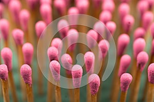 Close-up of a red matches