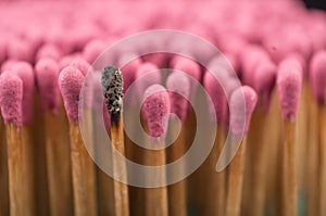 Close-up of a red matches