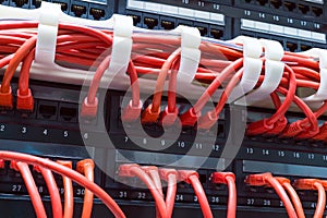 Close up of red network cables connected to switch