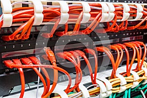 Close up of red network cables connected to switch