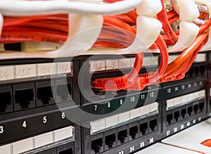 Close up of red network cables connected to switch