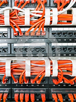 Close up of red network cables connected to switch