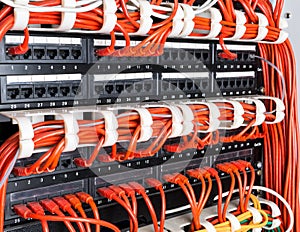 Close up of red network cables connected to switch