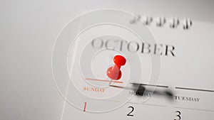 Close  up red pin marked on calendar