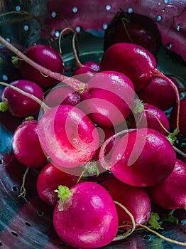 Close Up of Red Radishes Piled Inside a Colander