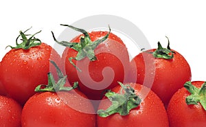 Close-up of red ripe tomatoes isolated  white background