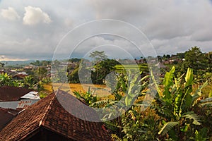 Close up red roof. Terrace cultivation in old asian city