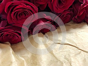 Close up of red roses and water drops