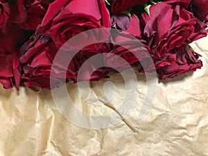 Close up of red roses and water drops