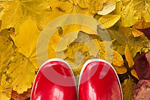 Close up of red rubber boots on autumn leaves