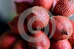 Close up of red salacca fruit, palm fruit