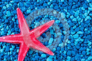 Close up red starfish on blue background