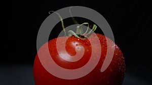 Close-up red tomato at black background with water droplets falling in slow motion on vegetable. Vitamin healthy food