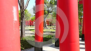 Close up of red torii gates in park. Walking inside Japanese shrine