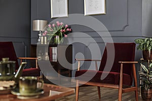 Close-up of a red, velvet armchair standing in a blurred interior of a dark living room with wooden furniture and molding on