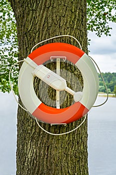 Close up of a red and white lifebuoy hanging on an oak tree by the water.