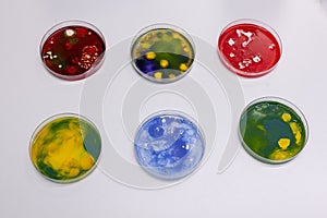 Close up of research laboratory desk with petri dish