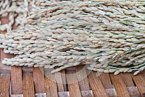 Close-up of rice grain .