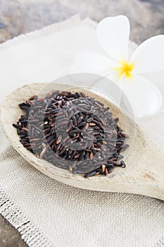 Close up of riceberry in spoon