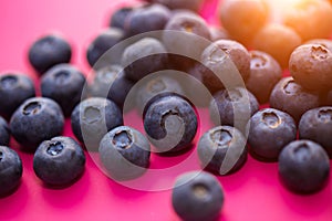 Close - up of ripe blueberries on a pink background in the sun, macro photo