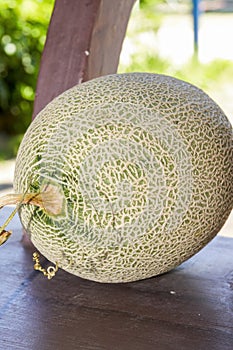 Close-up of a ripe cantaloupe with obvious texture