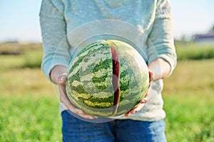 Close-up of ripe cracked watermelon in hands of woman, outdoor