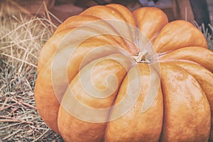 Close-up ripe large ribbed pumpkin on straw, vintage colours. Rustic autumn, fall background. Thanksgiving Day concept