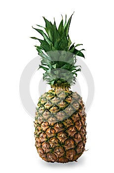 Close up. Ripe pineapple isolated on a white background