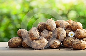 Close up of ripe raw potatoes.