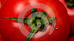 Close up of ripe red tomato, tomatoes background