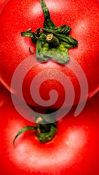 Close up of ripe red tomato, tomatoes background