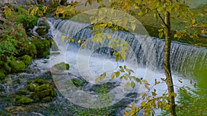 CLOSE UP: River cascading through a forest creates a somber natural scenery.