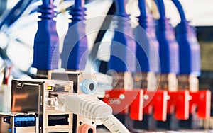 Close up of RJ45 UTP LAN Cable connect to Cryptocurrency Mining