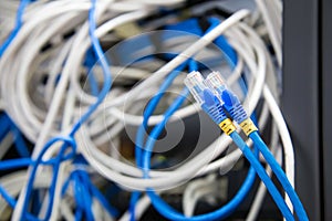 Close-up RJ45 head of UTP LAN network cable and Lots of Ethernet cables background