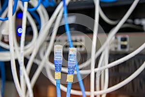 Close-up RJ45 head of UTP LAN network cable and Lots of Ethernet cables background for connect computer and network