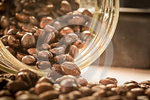 Close up of Roasted Coffee Bean