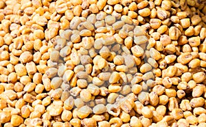 Close-up of roasted corn nuts