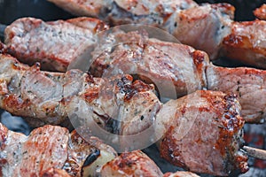 Close-up roasted kebab on barbecue. Marinate shashlyk preparing