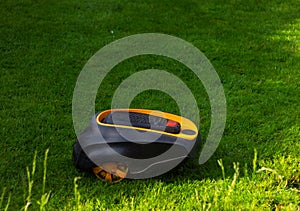 Close up robot lawnmower mows grass on a green lawn with copy space