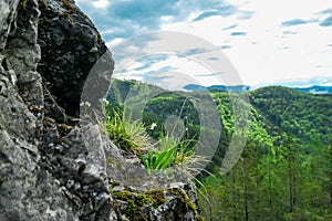 Rein - Close up of rock formation and flower with panoramic view of Grazer Bergland, Prealps East of the Mur photo