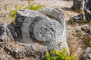 Pobiti Kamani rock formations protected area in Bulgaria