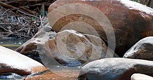 Close up on rocks in the river Rio Vermelho in Brazil, close to Cidade de Goias