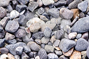Close up of rocks at a rocky beach in Portland Maine